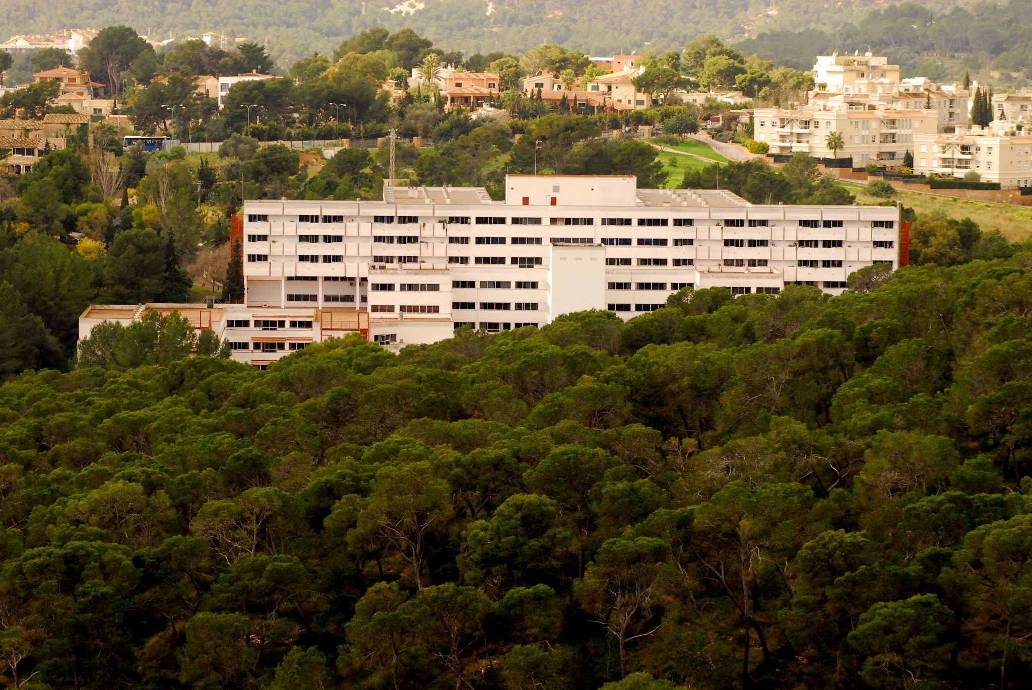 El Pleno aprueba una ampliación de presupuesto del IMAS para iniciar las grandes obras previstas para esta legislatura