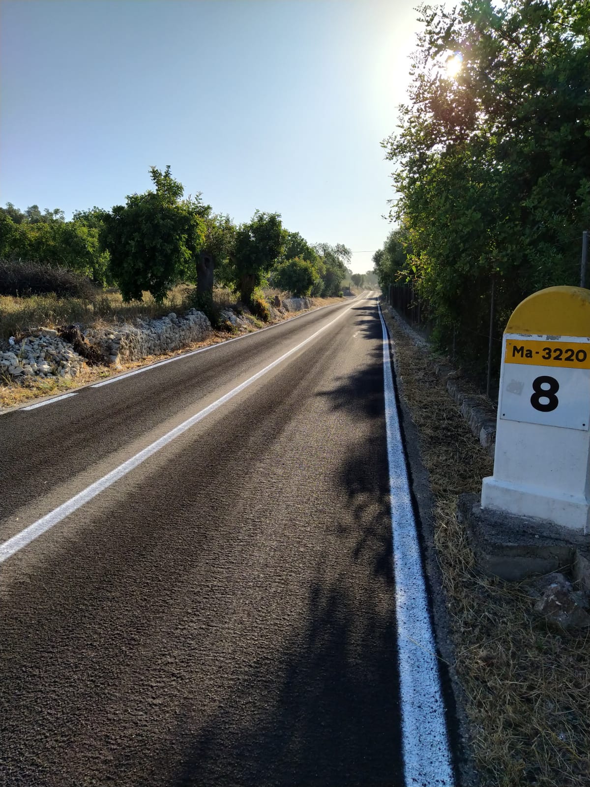 Actuació de millora del paviment a la carretera de Maontuïri a Petra (Ma- 3220)