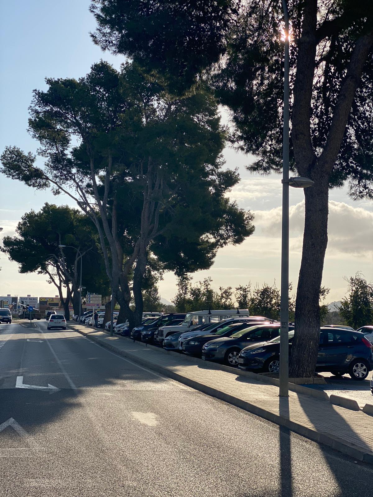 Comencen les actuacions de millora a l’Avinguda Costa i Llobera d’Artà