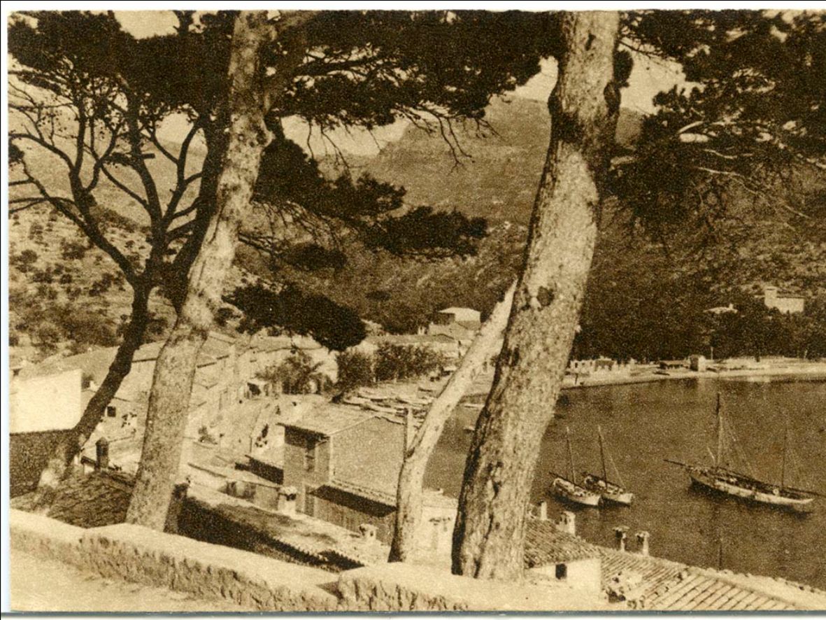 On la terra troba la mar: un passeig pel Port de Sóller
