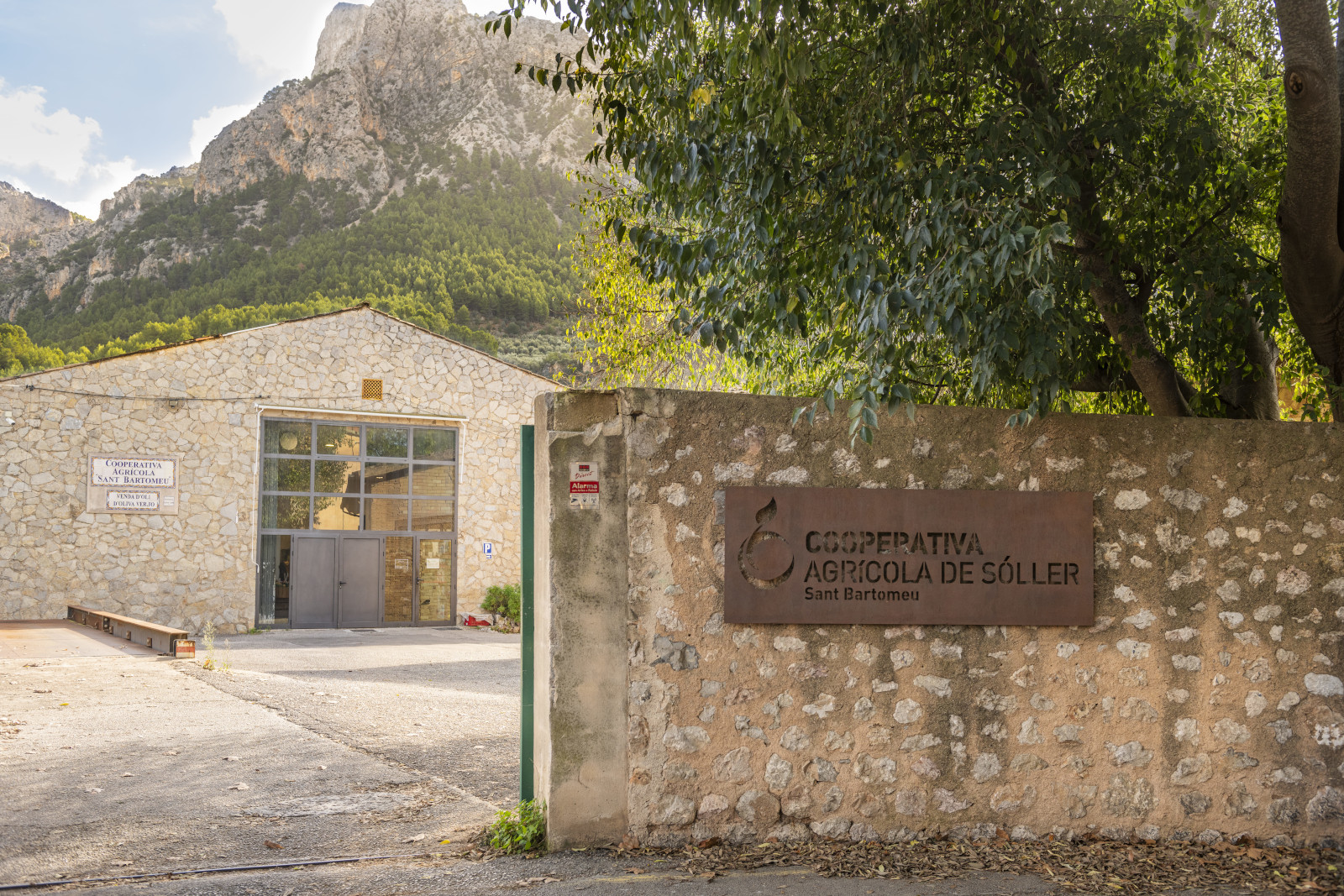 La Serra en obert: Cooperativa Sant Bartomeu