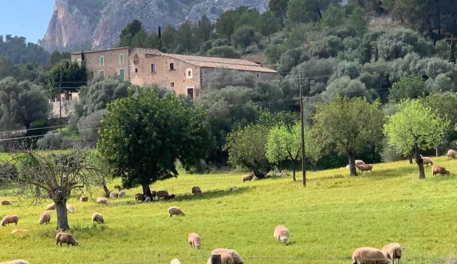 La Serra en obert: Visita a Son Vic Vell