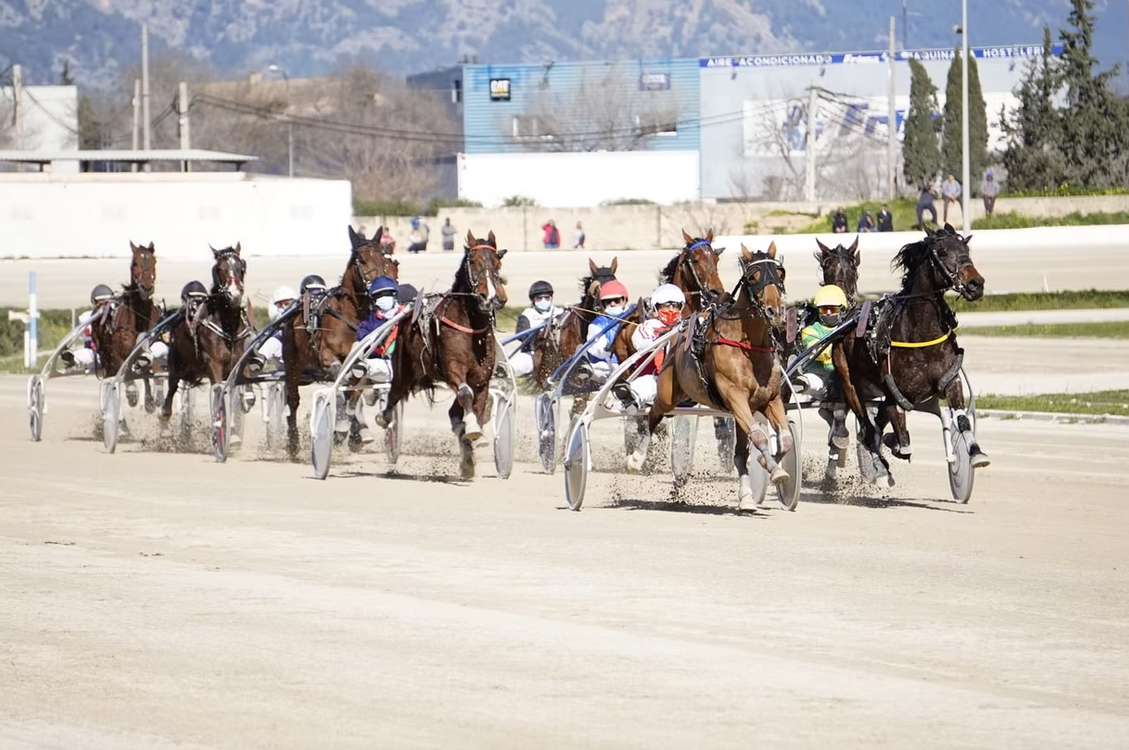 Gran Premi de Trot Diada de Mallorca