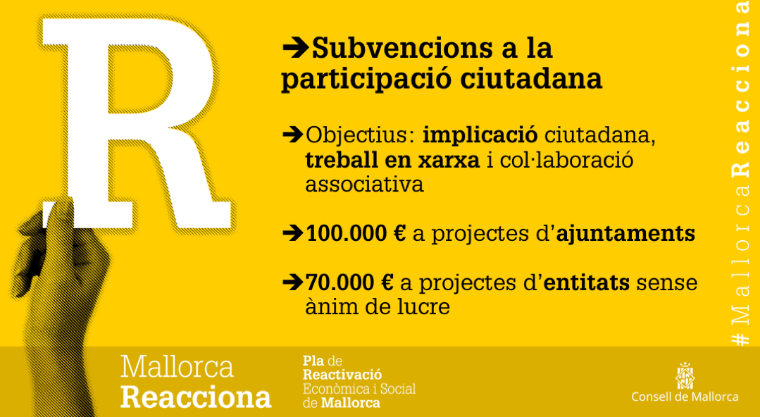 El Consell atorgarà ajuts econòmics per al desenvolupament de projectes en l’àmbit de la participació ciutadana.
