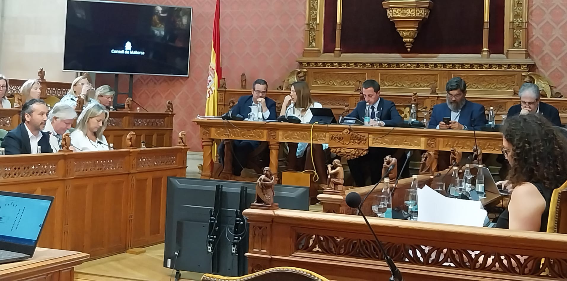 Imatge del ple del Consell de Mallorca d'avui.