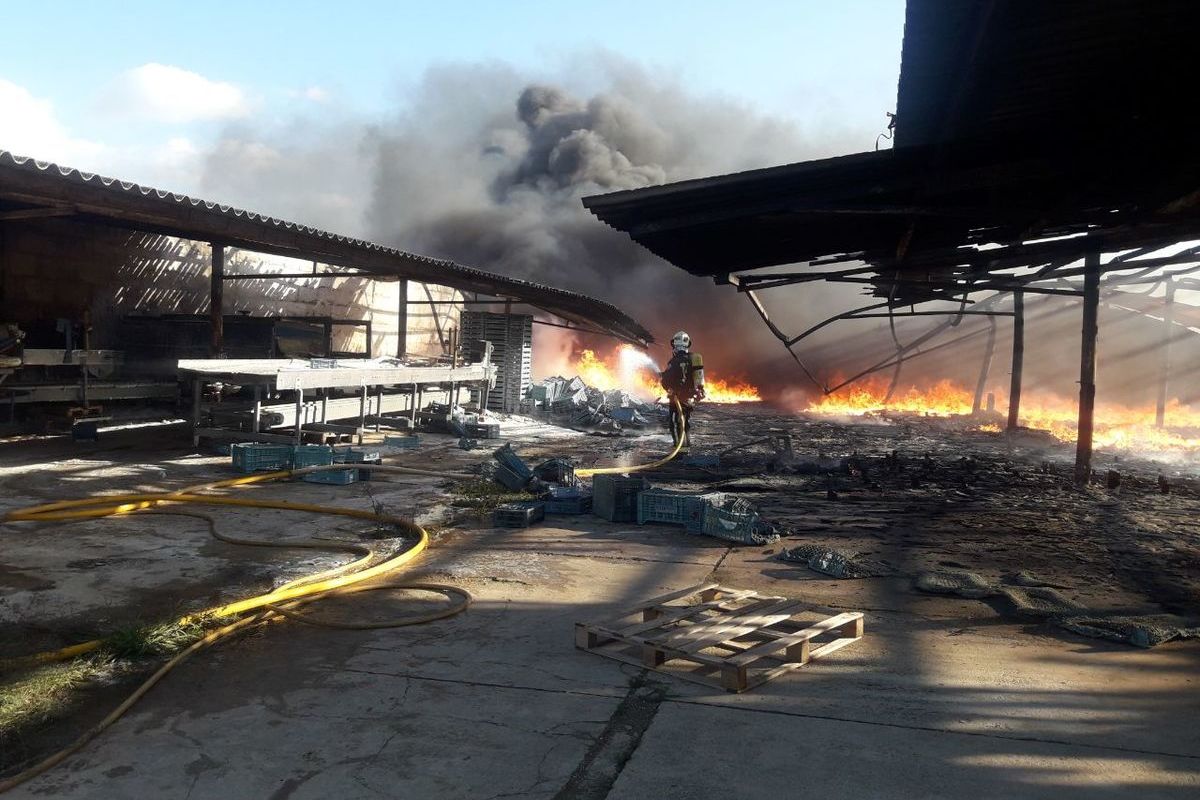 Els Bombers de Mallorca actuant durant el foc a unes naus agrícoles a Santa Margalida.