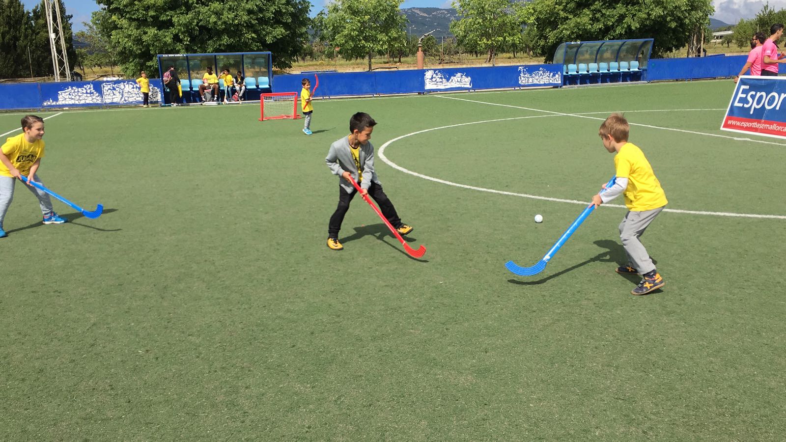 Nous programes esportius per a centres educatius i ajuntaments, actuacions a favor de l’esport federat i no federat, i ajudes en activitats extraescolars per a les famílies.