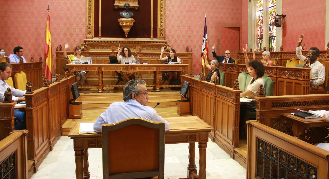 Moment de l'aprovació del PIAT al Ple del Consell.