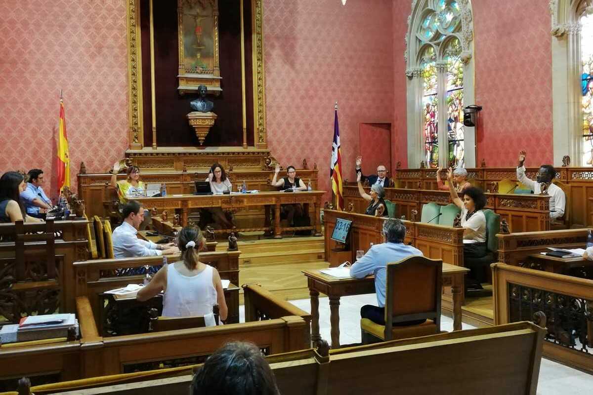 Moment de l'aprovació del PIAT al Ple del Consell.
