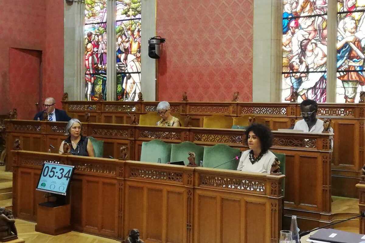 Moment del debat del PIAT durant el Ple del Consell.
