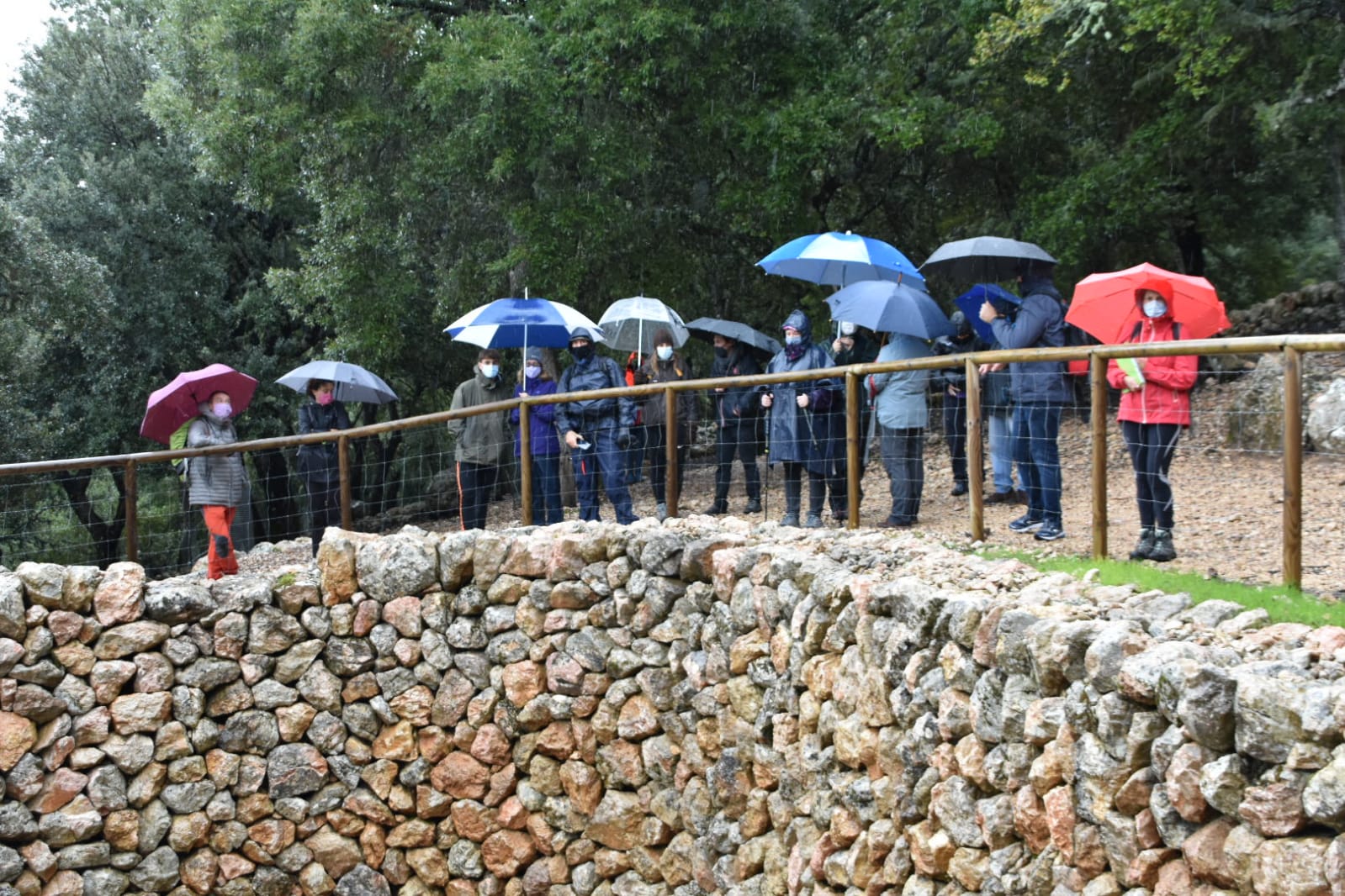 Imatge d’arxiu. Visites guiades Diada de Mallorca