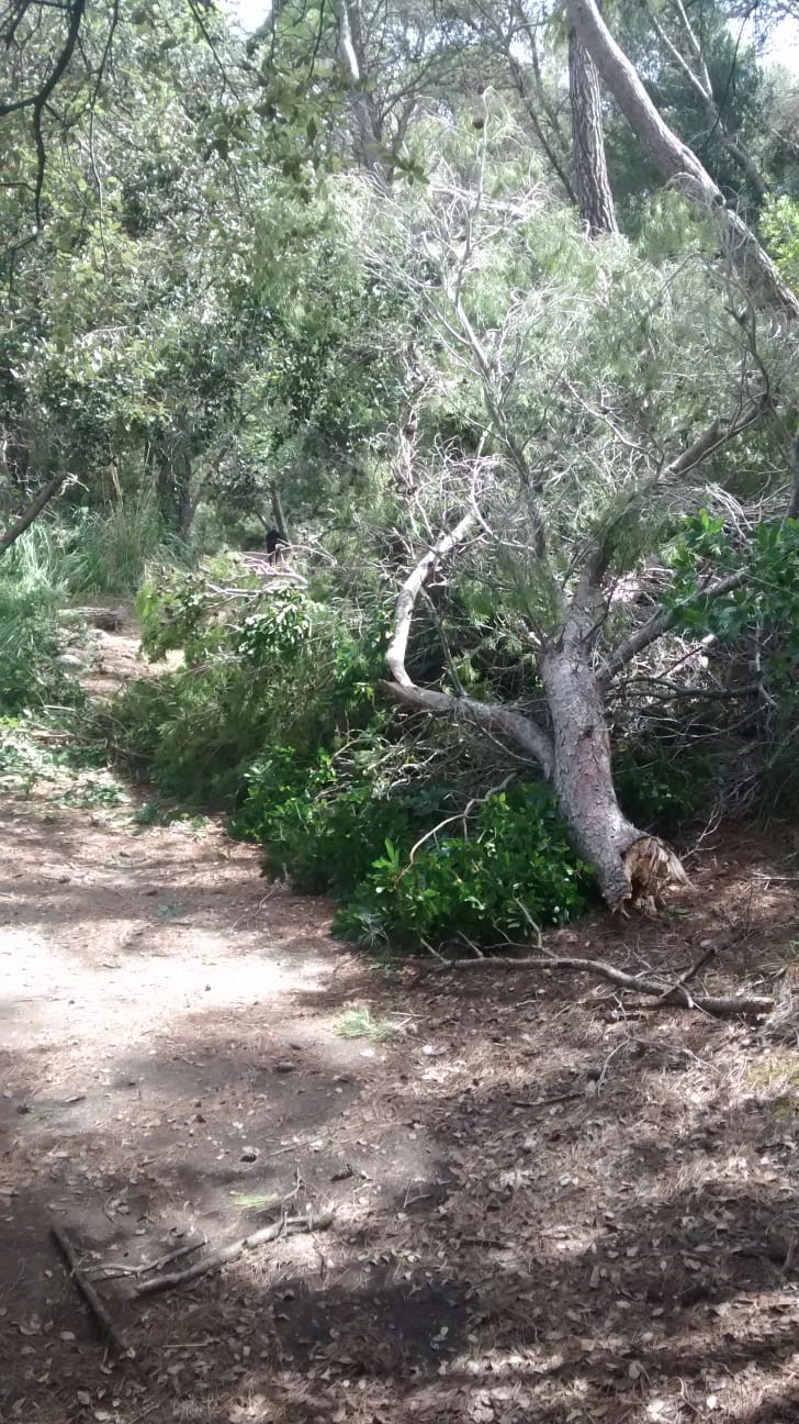 Camí Correu