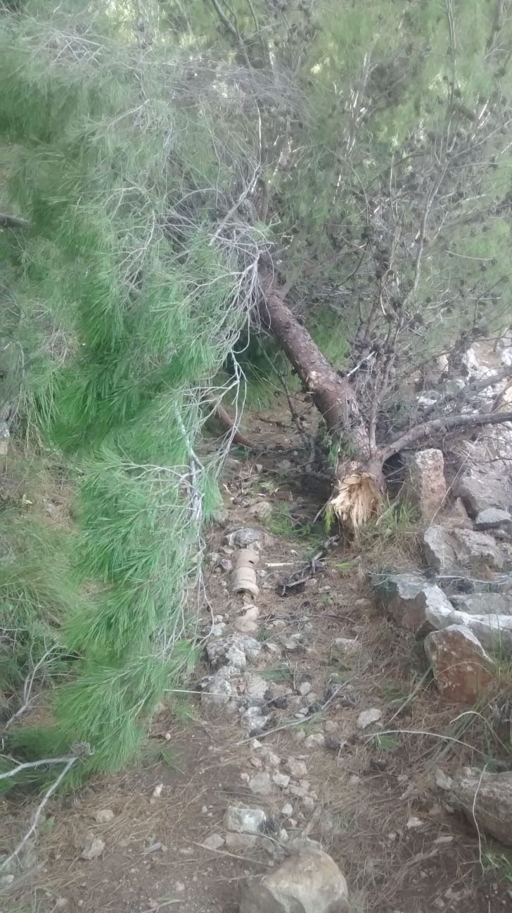 Camí Rafal