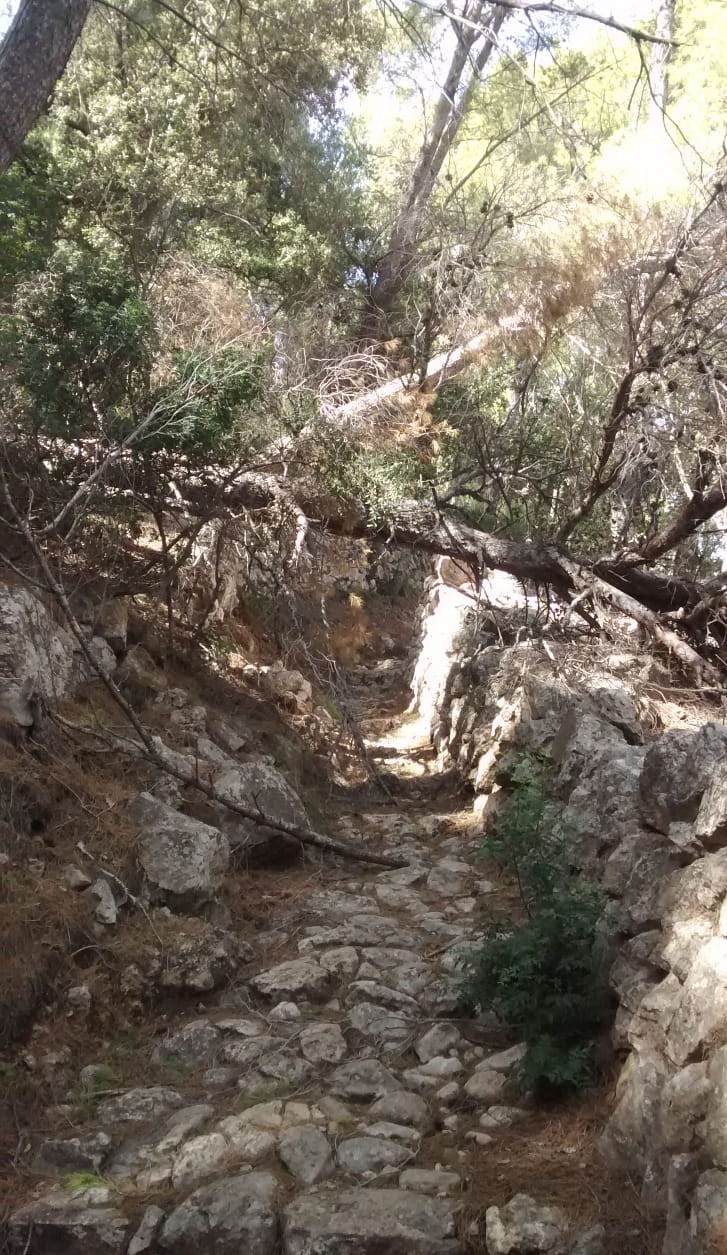 Camí Rafal