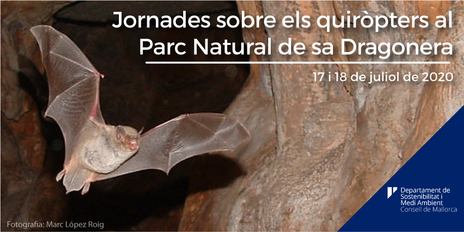 Cartell de les jornades sobre els quiròpters.