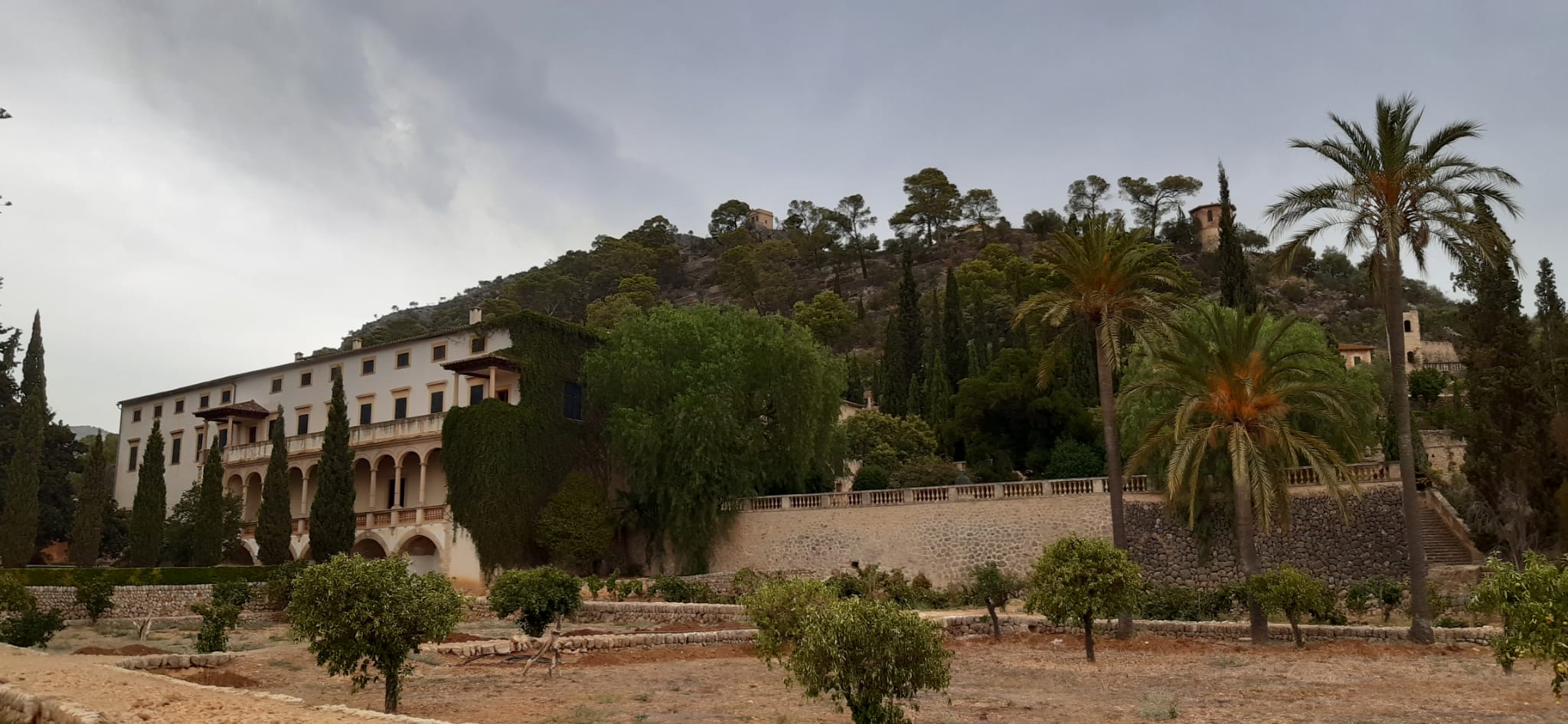 Consejo de Participación de la serra de Tramuntana.