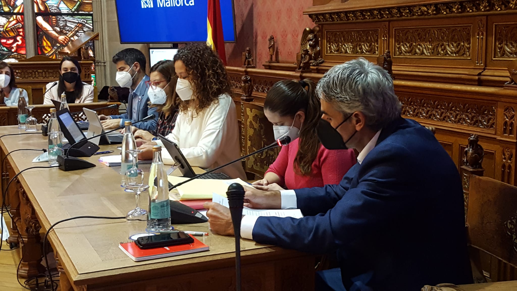 Ple Consell de Mallorca