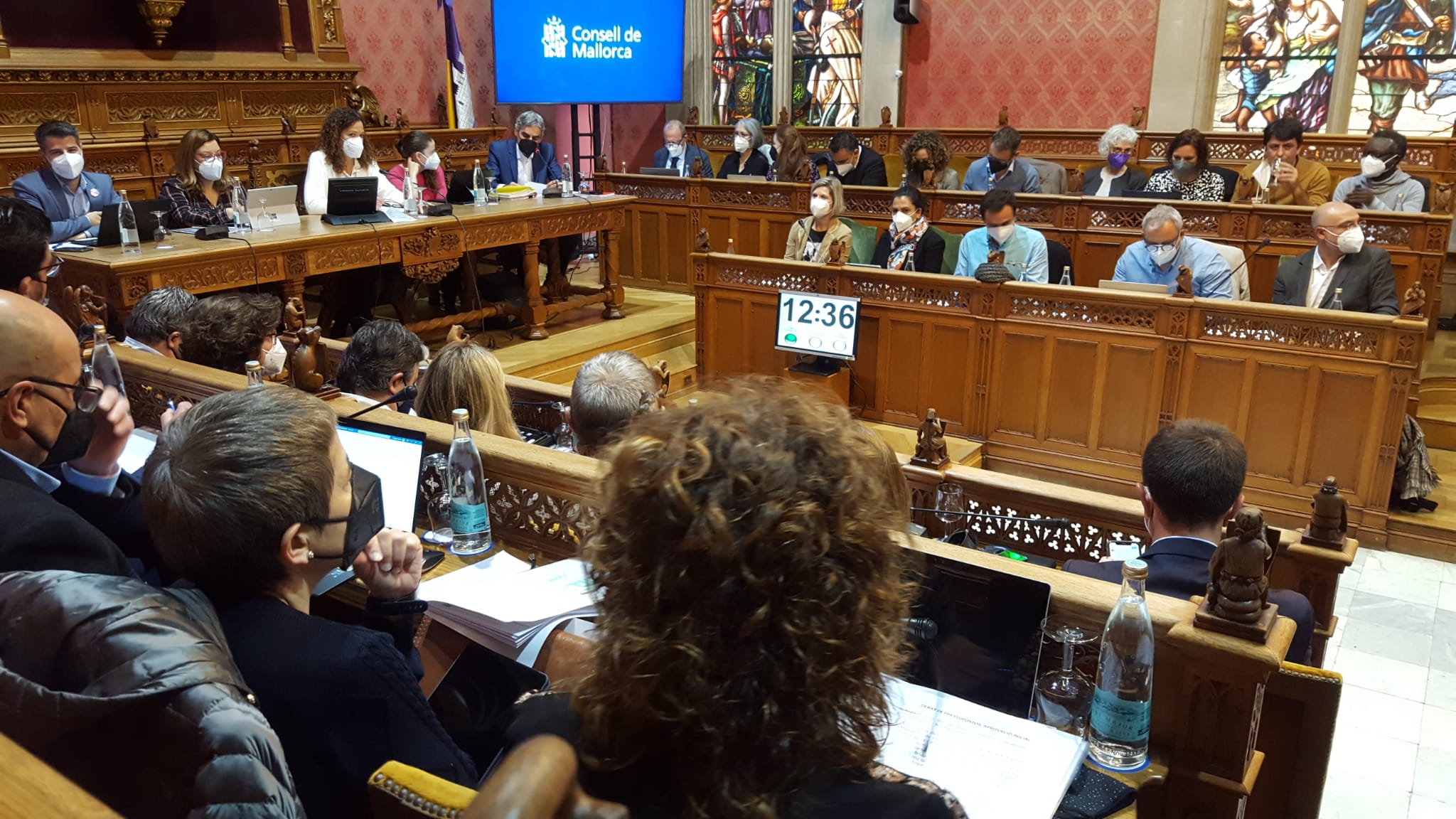 Ple Consell de Mallorca