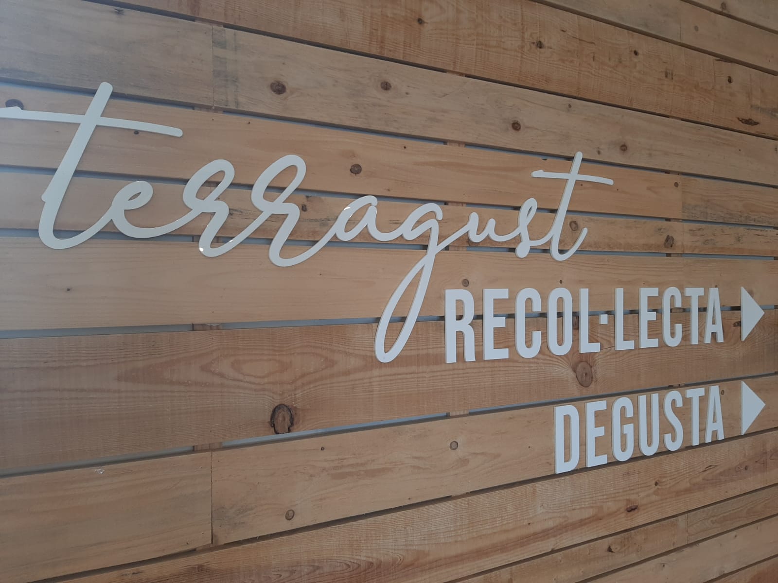Visita a empreses beneficiàries de la convocatòria d’ajuts per al foment de l’ús de la llengua catalana.