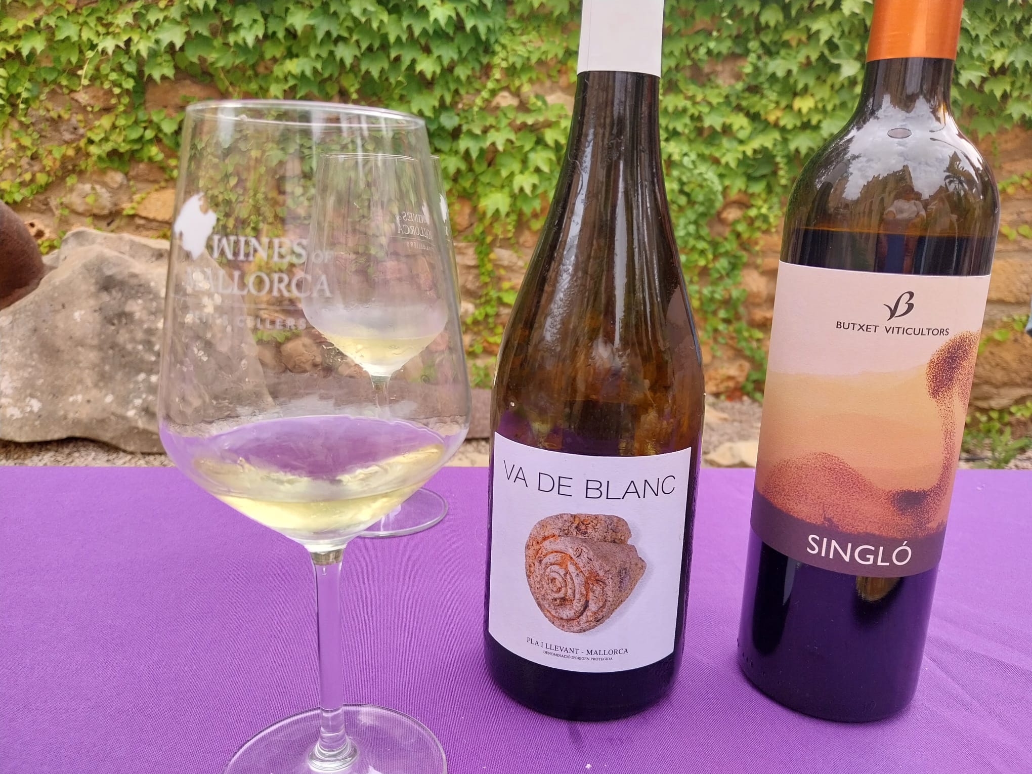 Presentación de la VIII Nit de Vins en Son Servera.