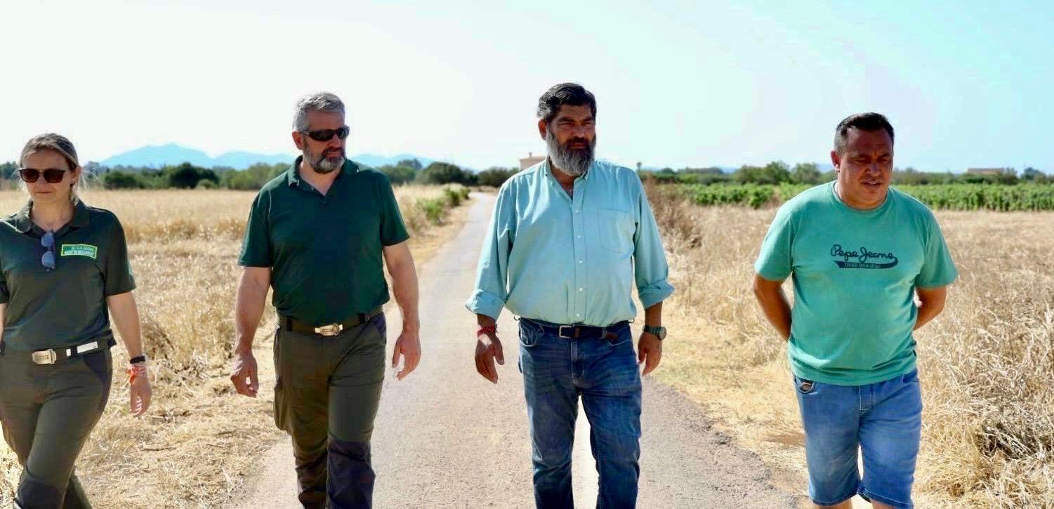 El conseller de Medi Ambient, Medi Rural i Esports, Pedro Bestard.