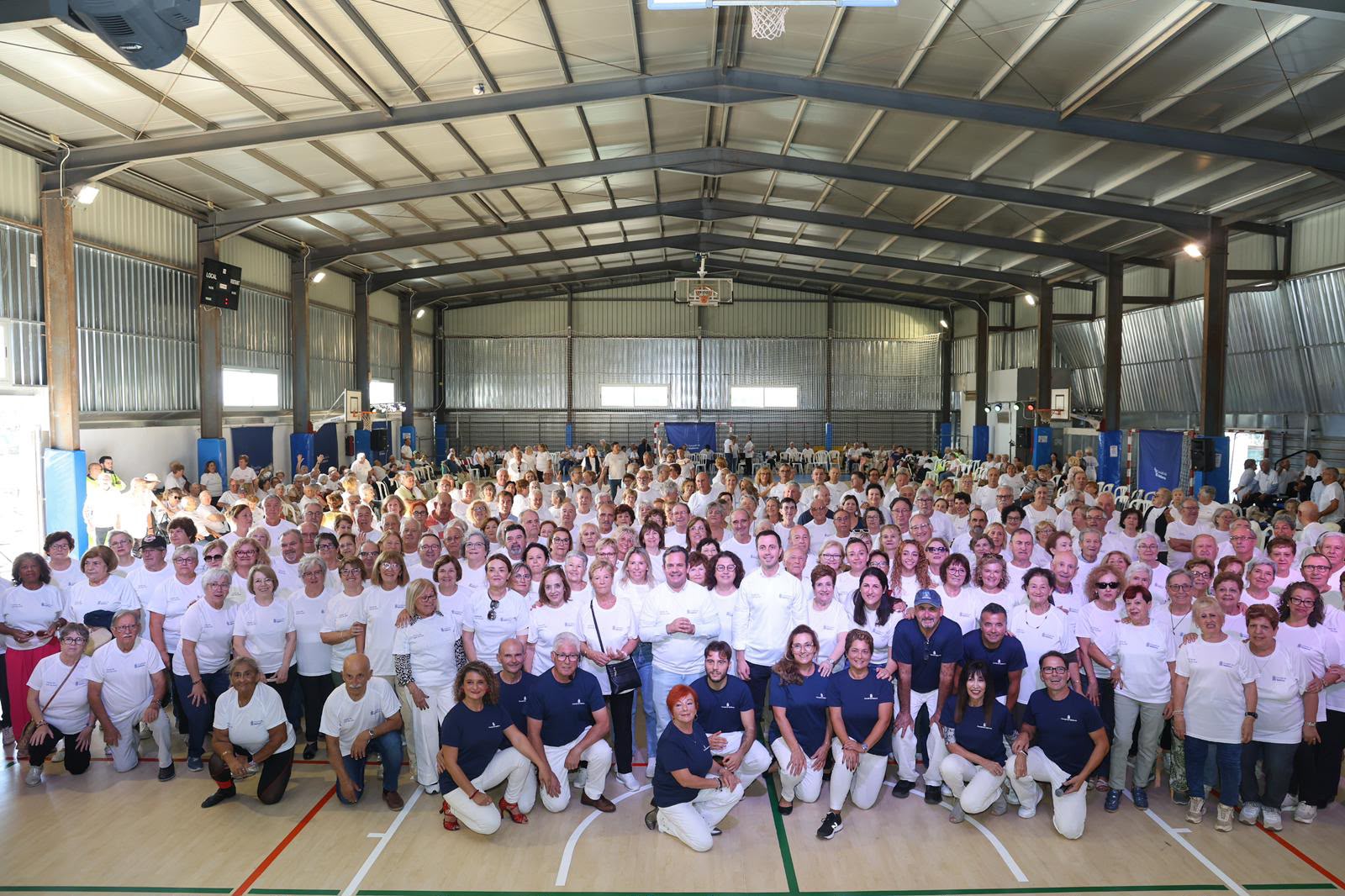 Activitats dirigides a la gent gran organitzades pel Consell de Mallorca.