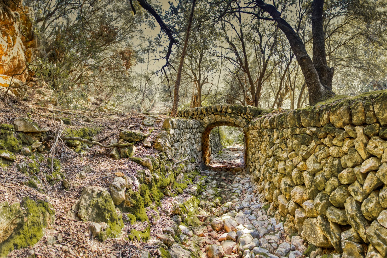 Primer premio de la categoría elementos patrimoniales: Camins d’aigua, de Sebastián Antonio Bota Ferragut.