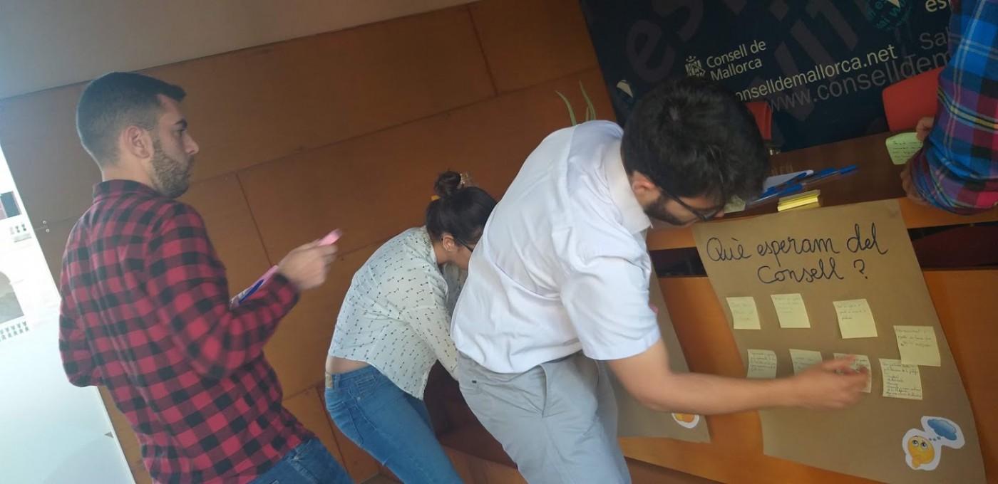 Representantes de los diferentes consistorios se han reunido por primera vez con el director insular de Participación y Juventud, Àlex Segura, y personal técnico del Departamento para establecer las prioridades de la plataforma en cada caso.