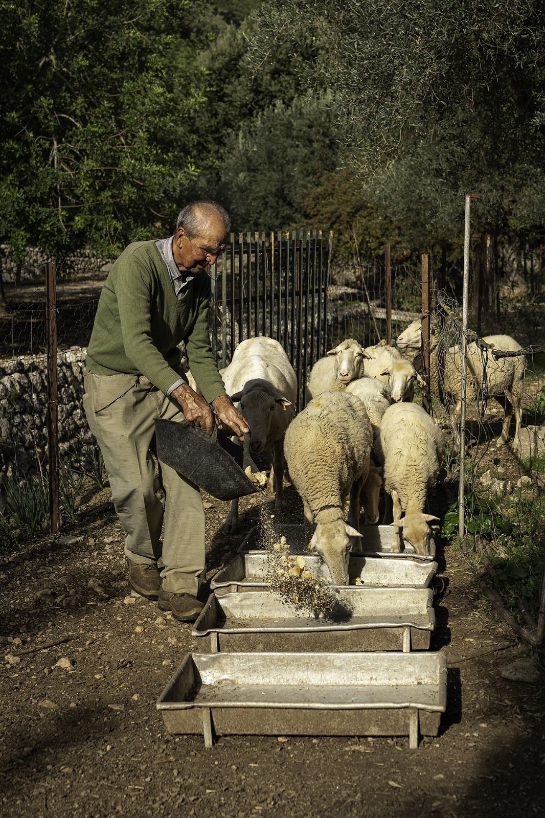 Primer premio de la categoría productos y productores: Es ramader, de Marc Marco Ripoll.