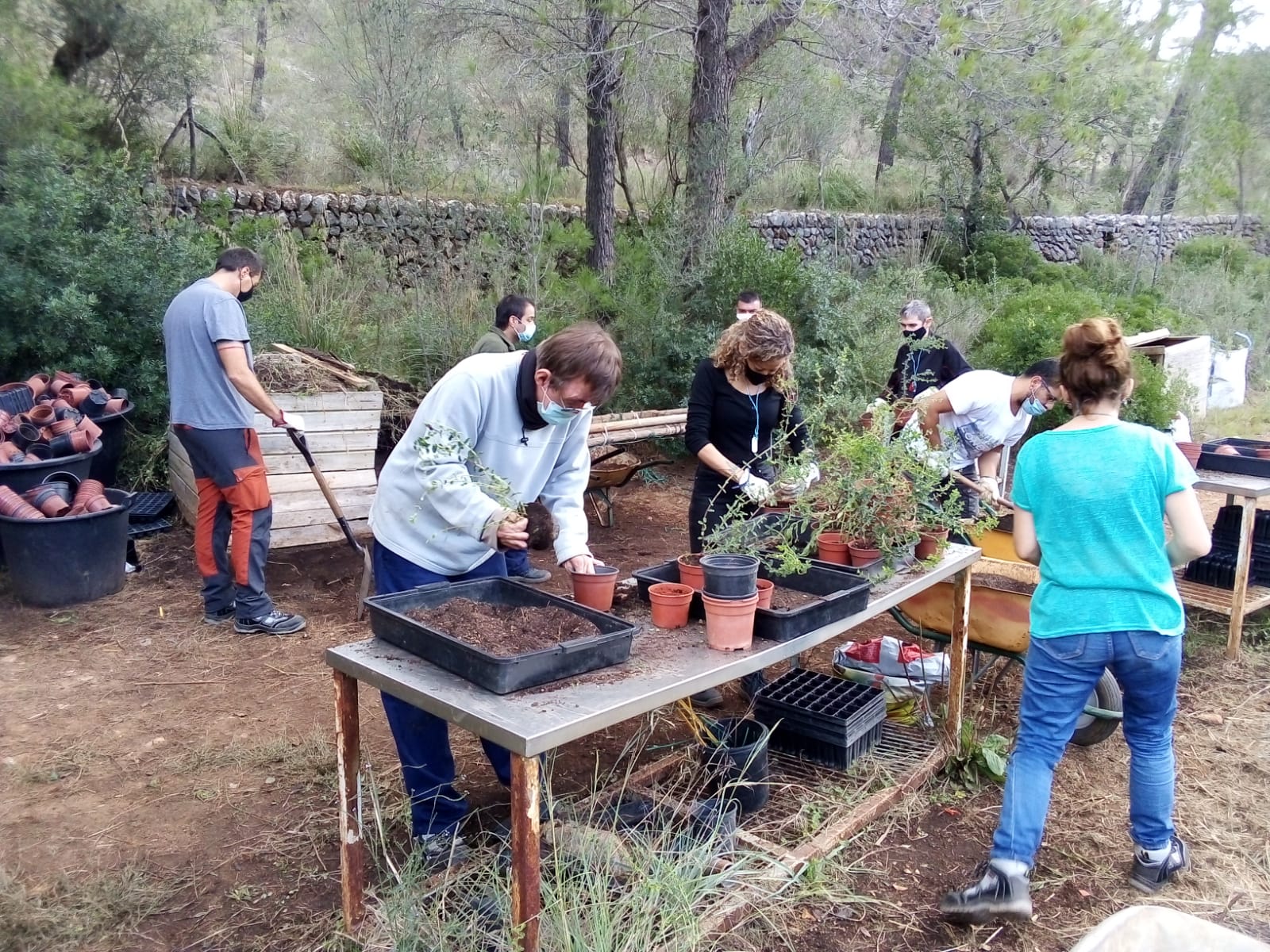 L'IMAS posa en marxa el projecte de formació i ocupació RAIXA 2020