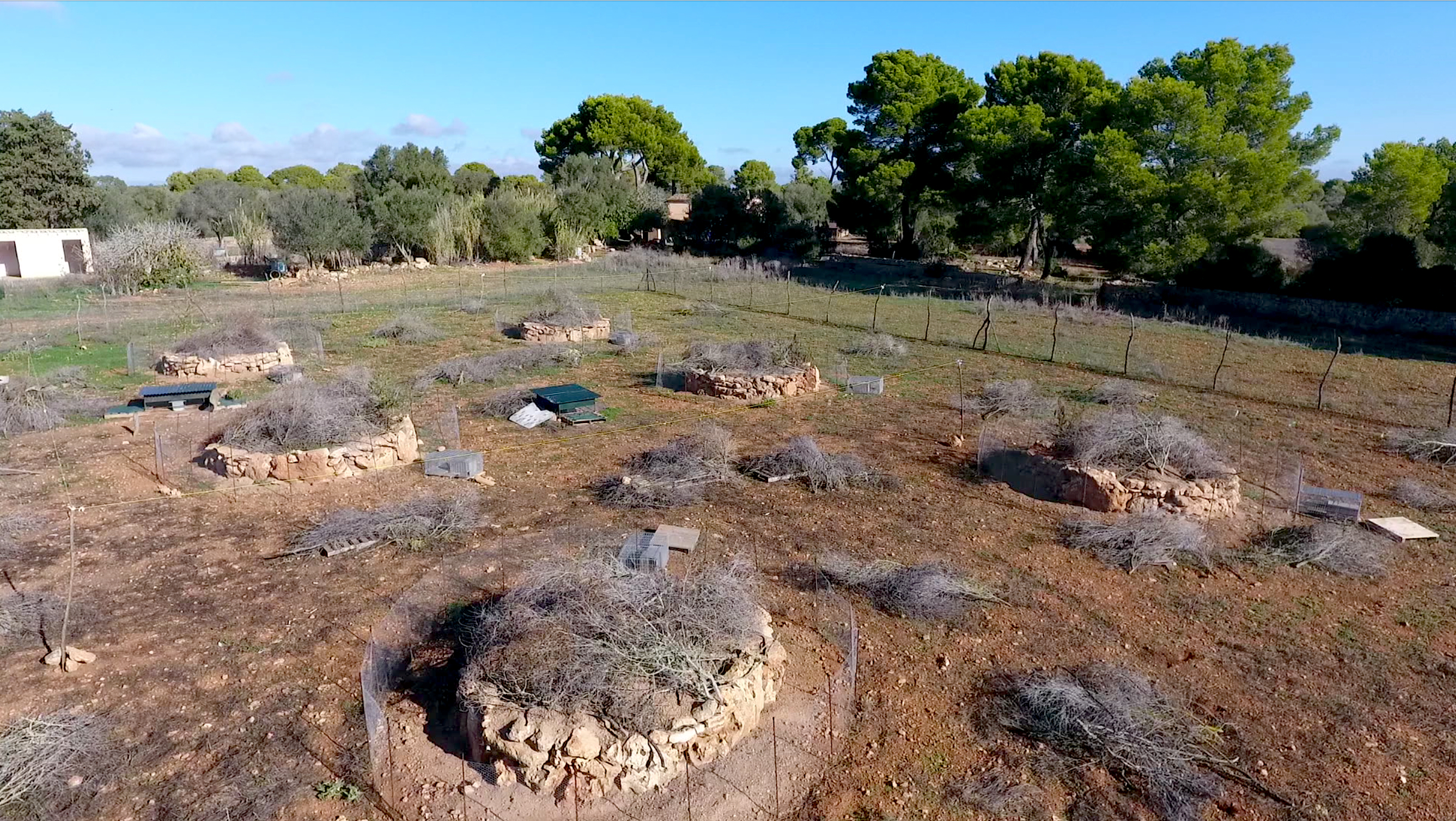 Tancat de l'actual Centre Cinegètic de Mallorca per al projecte de recuperació del conill de camp.