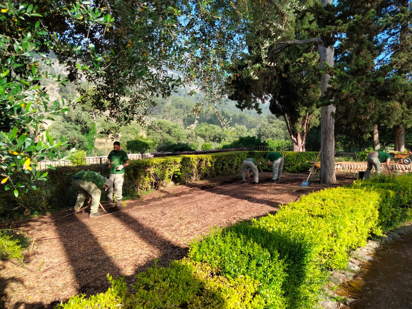 La formació contribueix al menteniment dels jardins de la finca pública. 