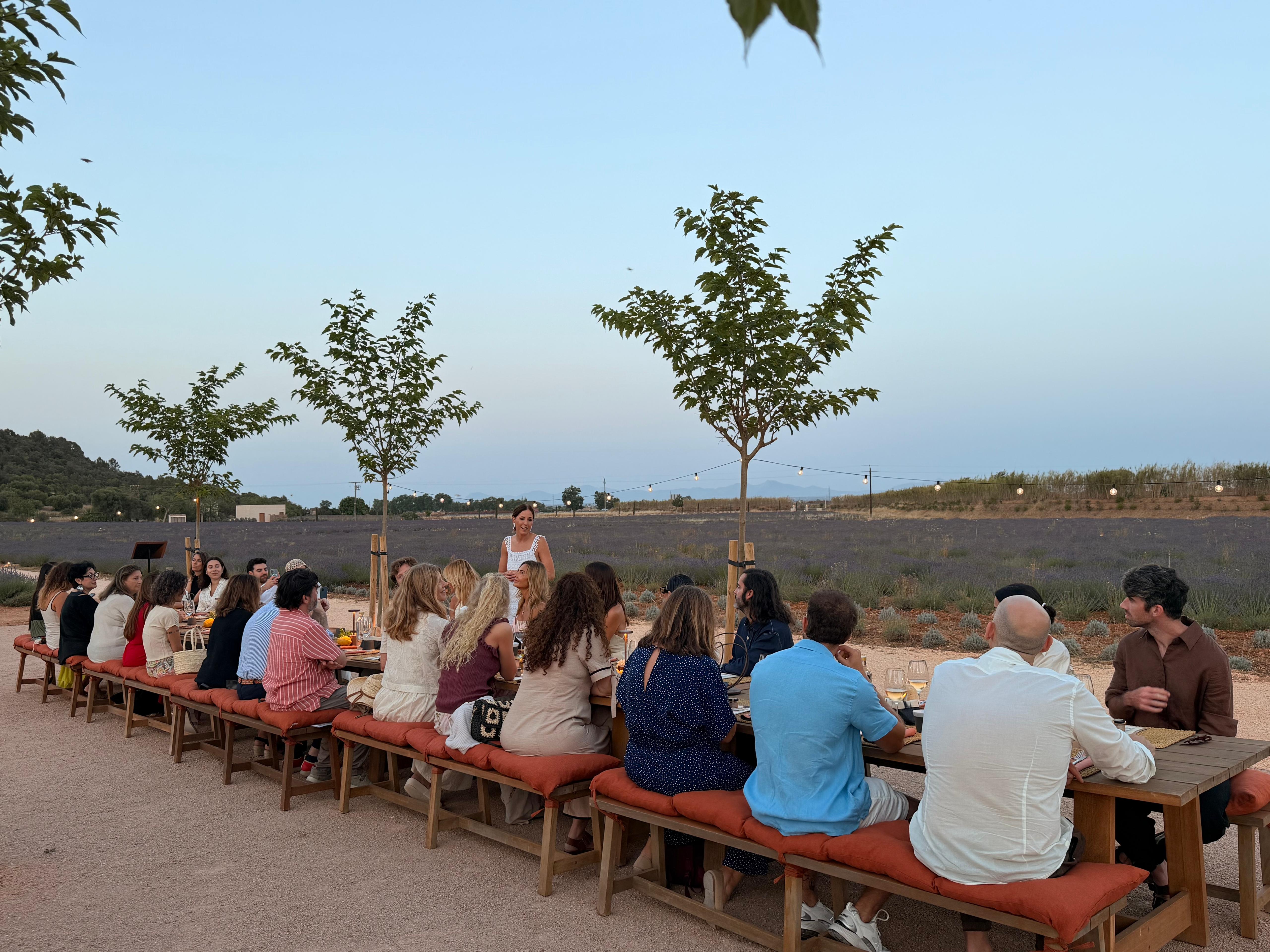  Lavender Nights «Vesteix The Lodge».