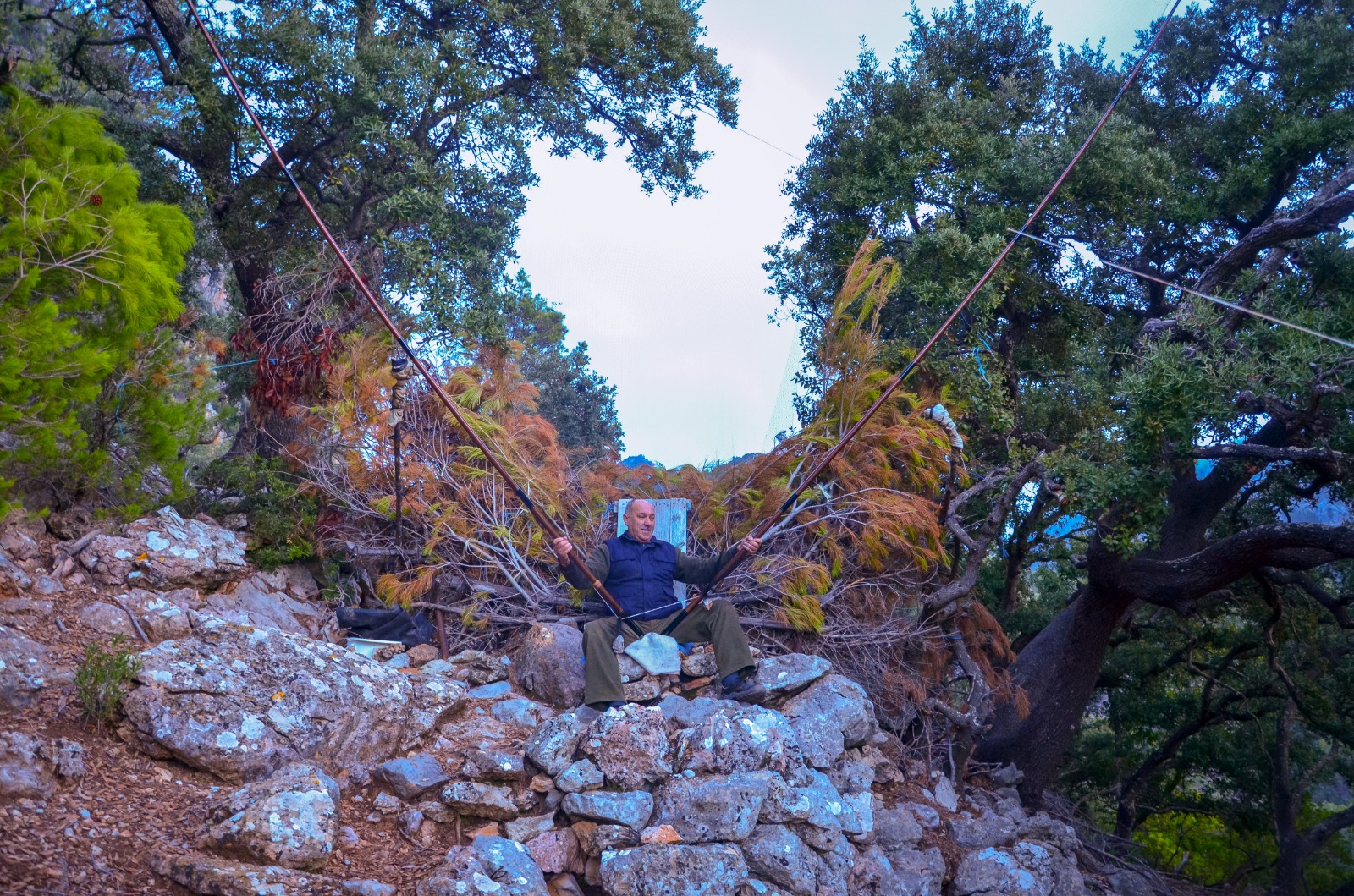 Caçador practicant la caça del tord a coll
