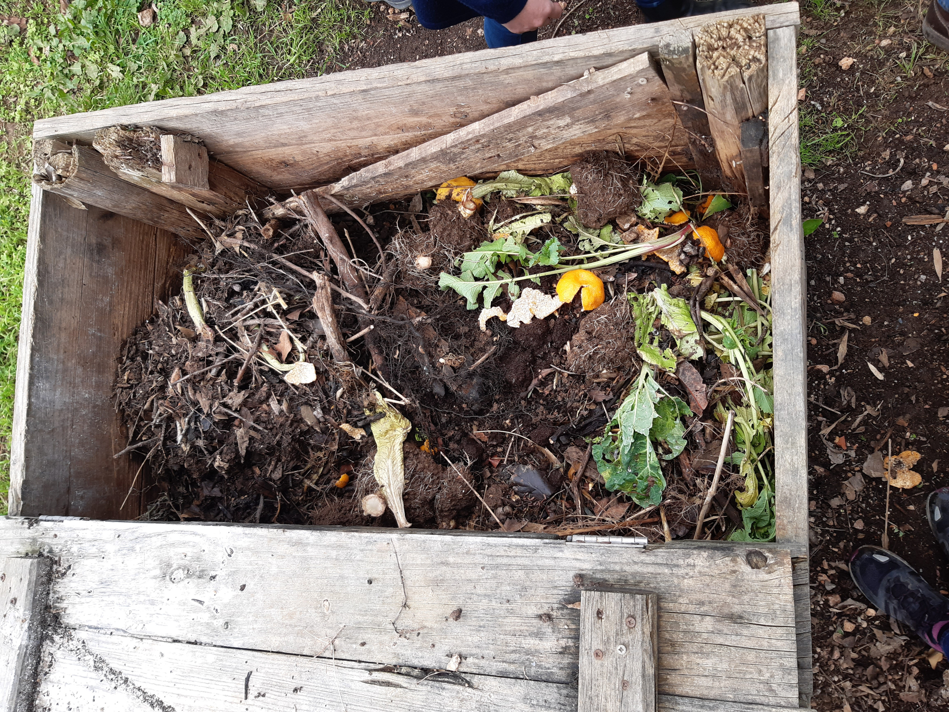 Compost de l'hort ecològic de la finca pública de Raixa