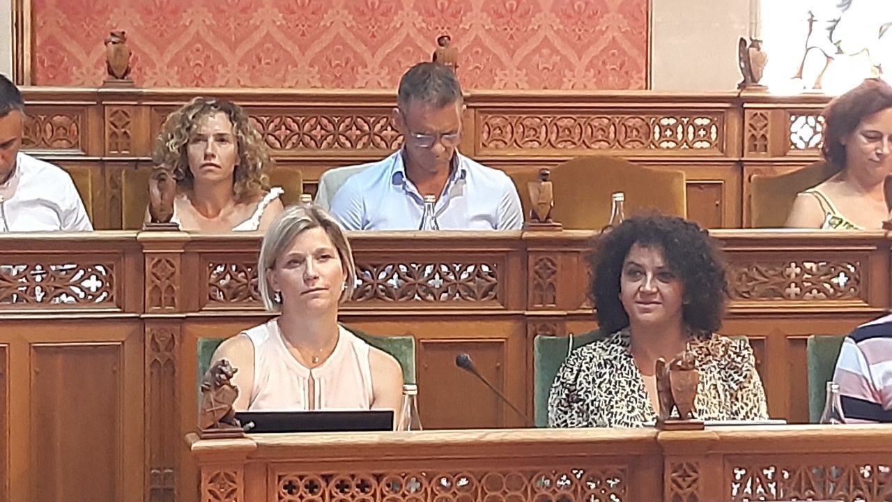 L'IMAS es farà càrrec de la distribució.
