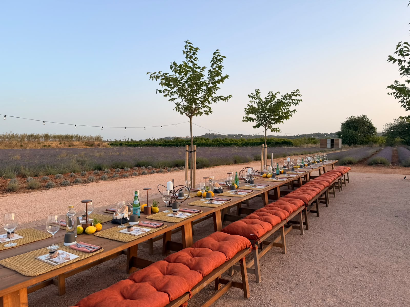  Lavender Nights «Vesteix The Lodge».