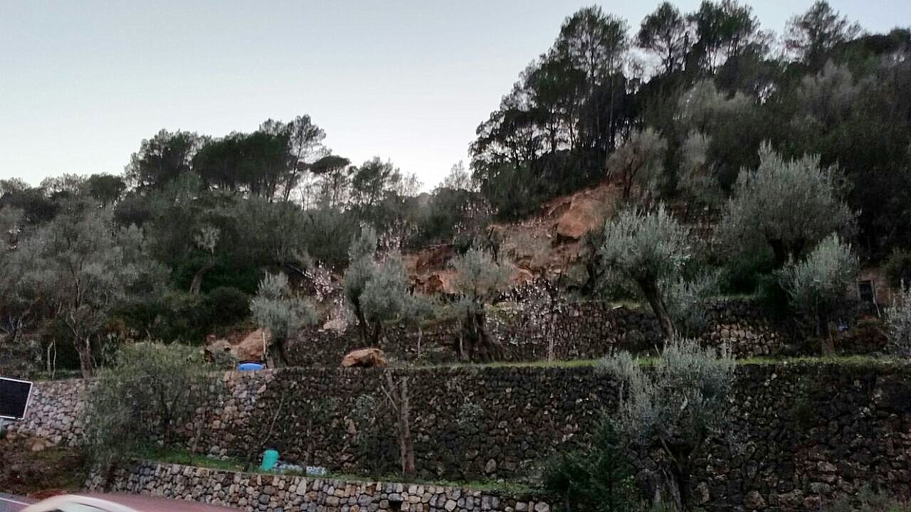 soller1.jpg