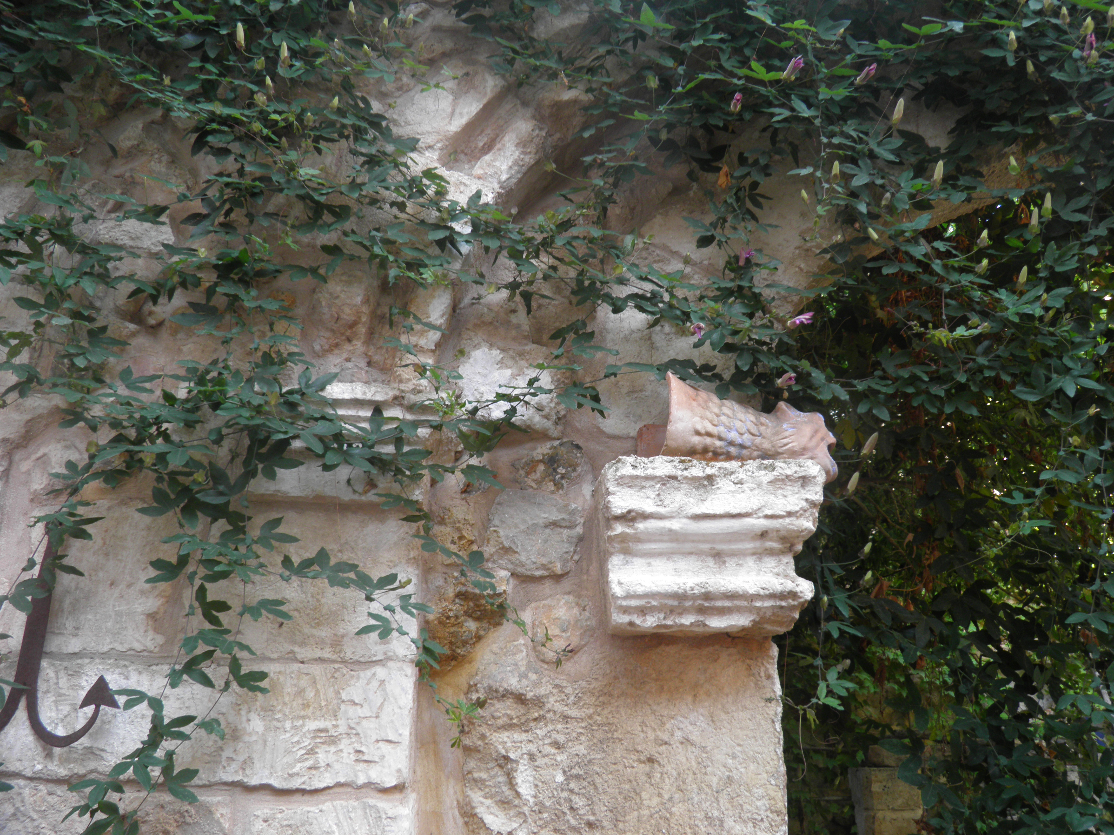 visita-canmonroig4.JPG