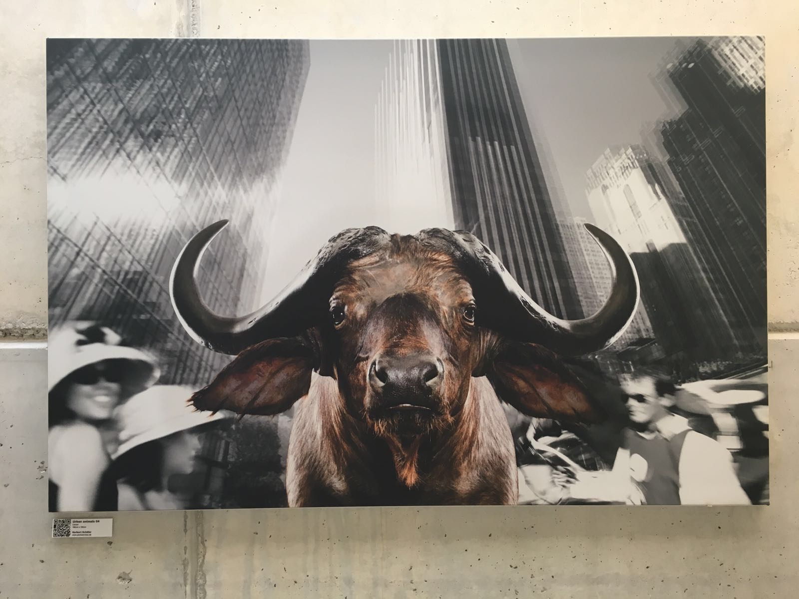 fotografia_tres_expo.jpg