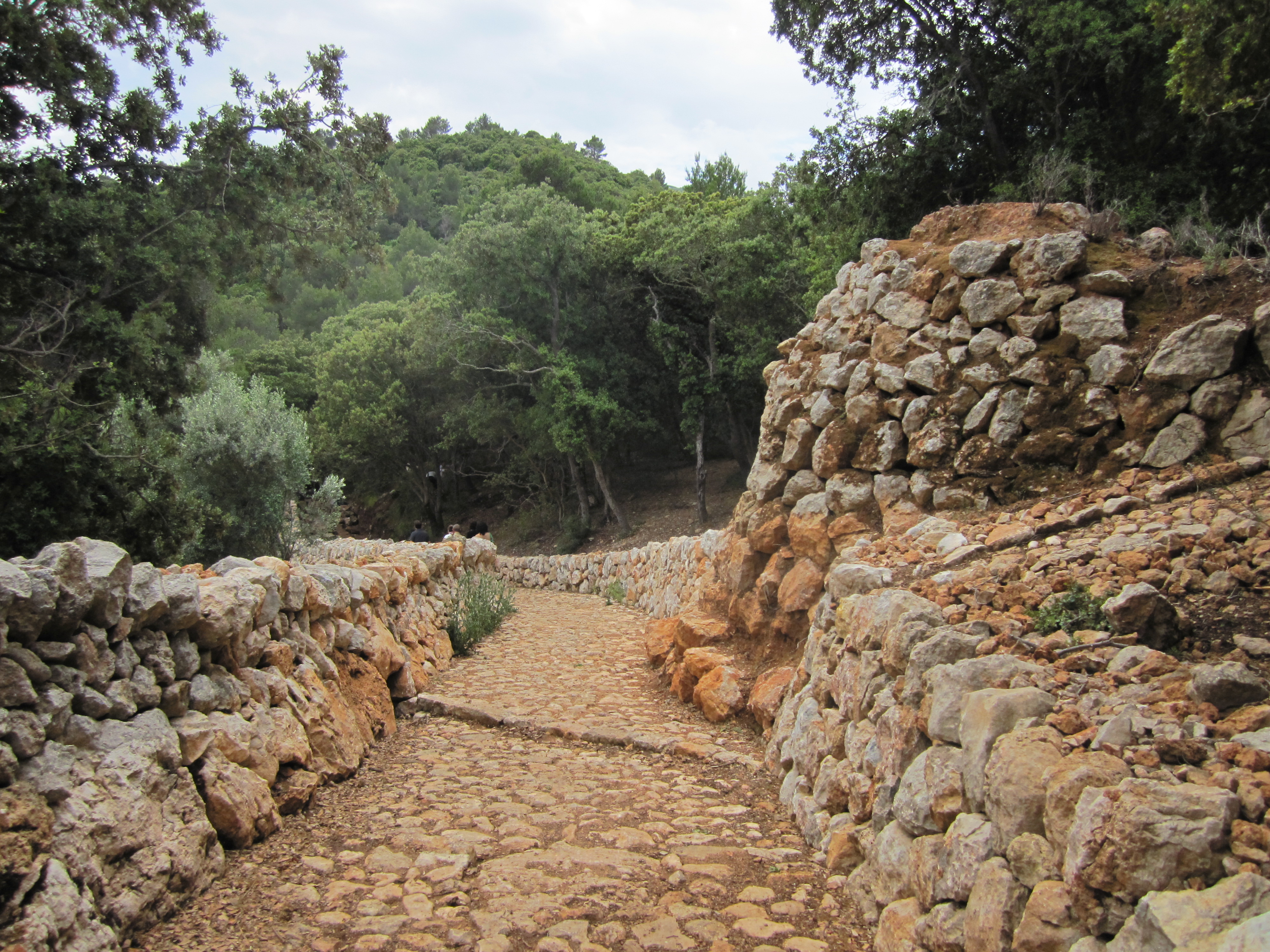 Imagen009.jpg