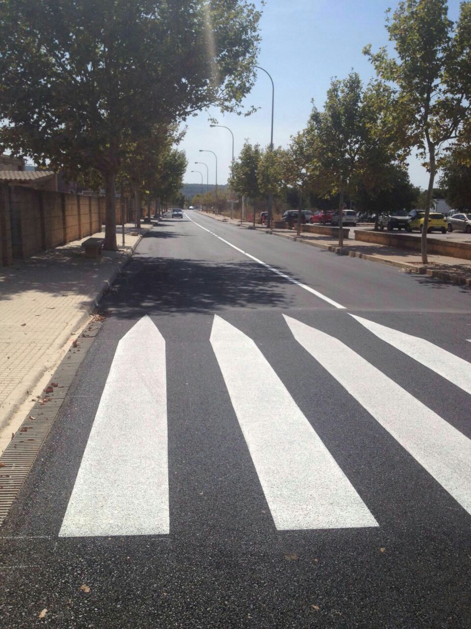 20160907_PluvialsSantaMaria2.jpg