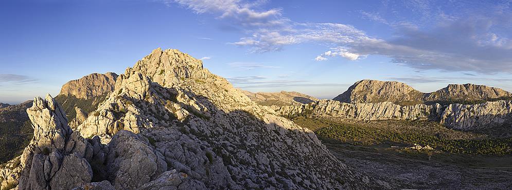 20161116_Serra.jpg