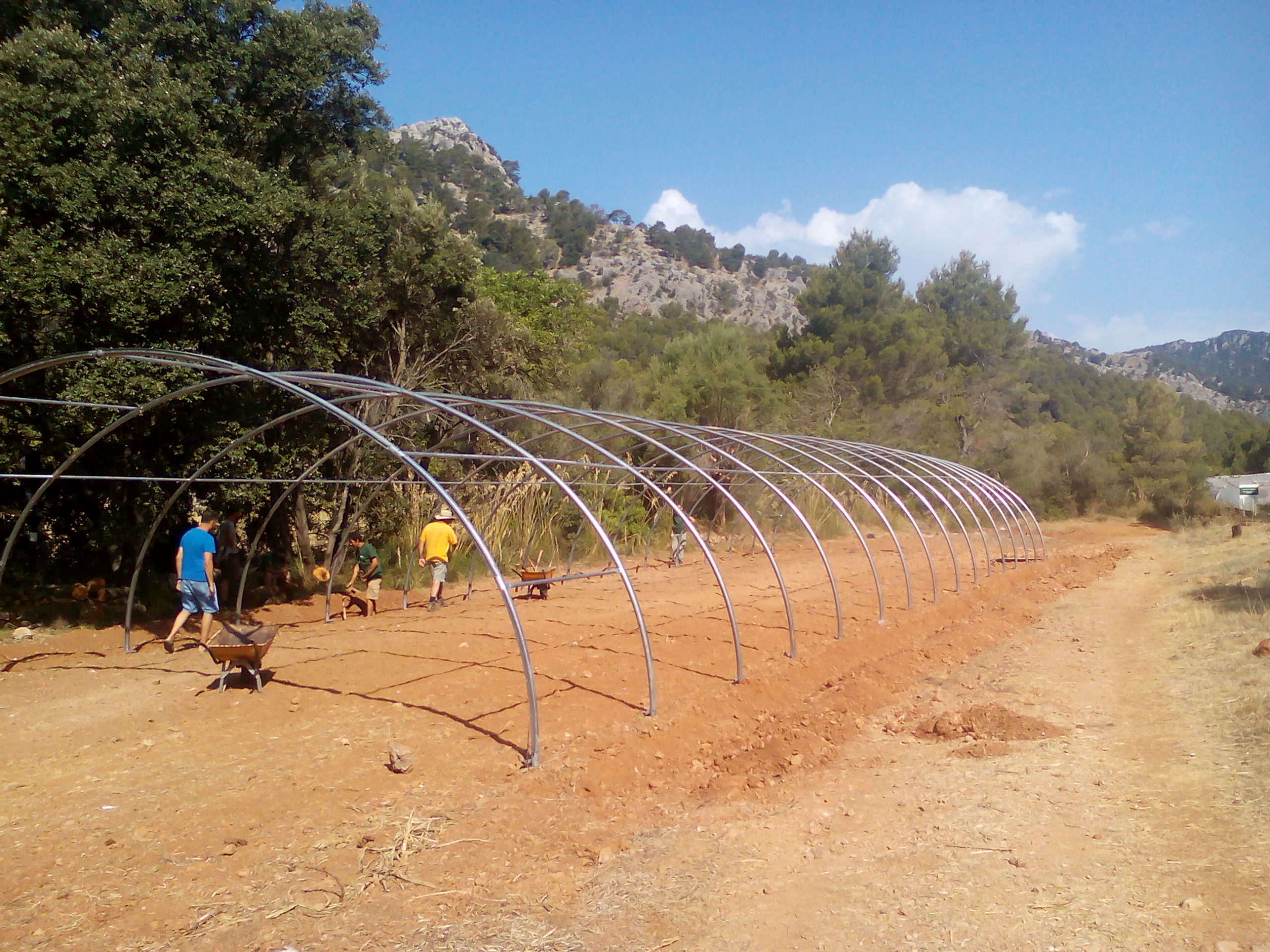 ProjecteRaixa2.jpg