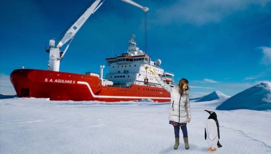Espectáculo La pingüina viatgera