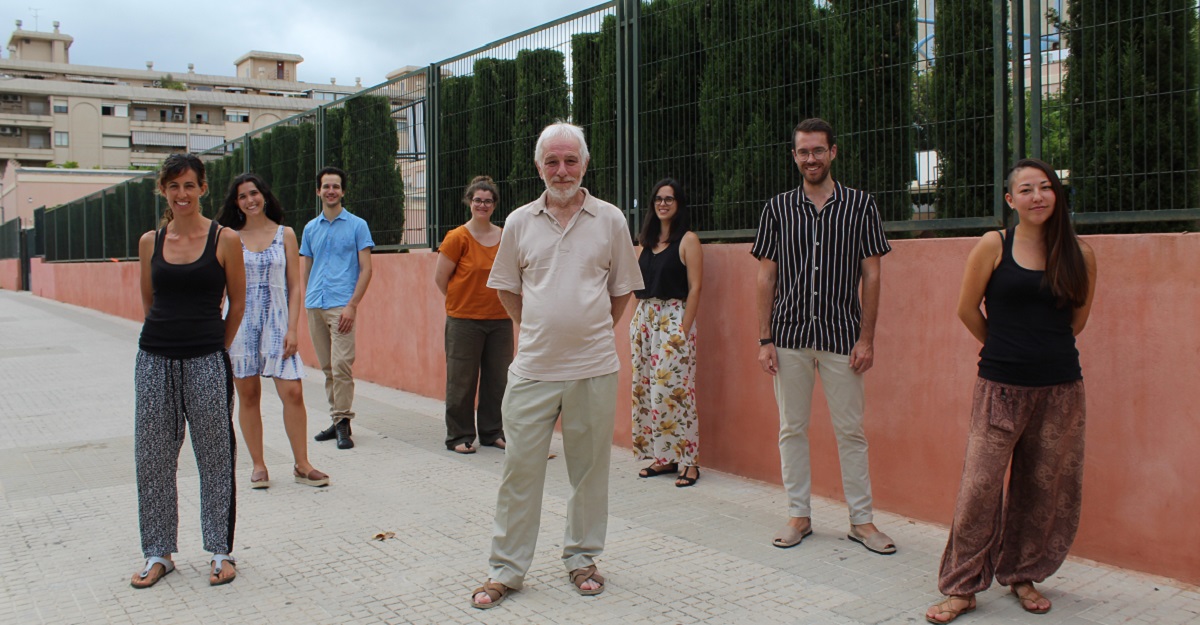 Espectáculo Orquestra clàssica – El Romanticisme nòrdic