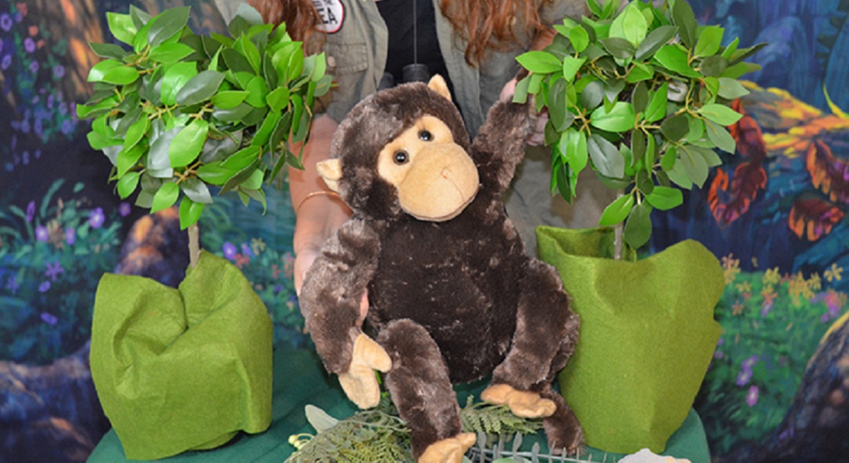 Na Jane de la jungla