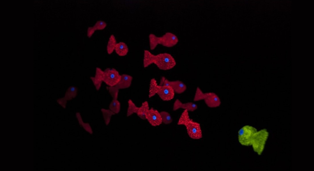 Plastiiik