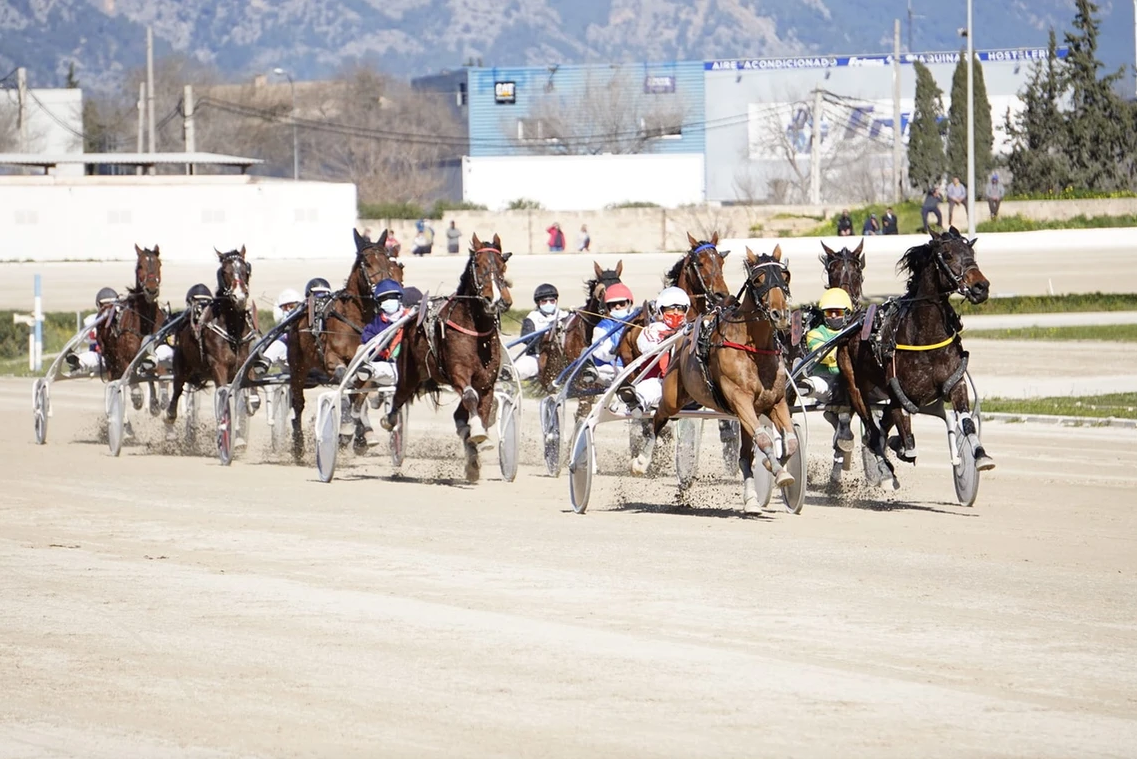 Visitas para personas mayores en el hipódromo Son Pardo