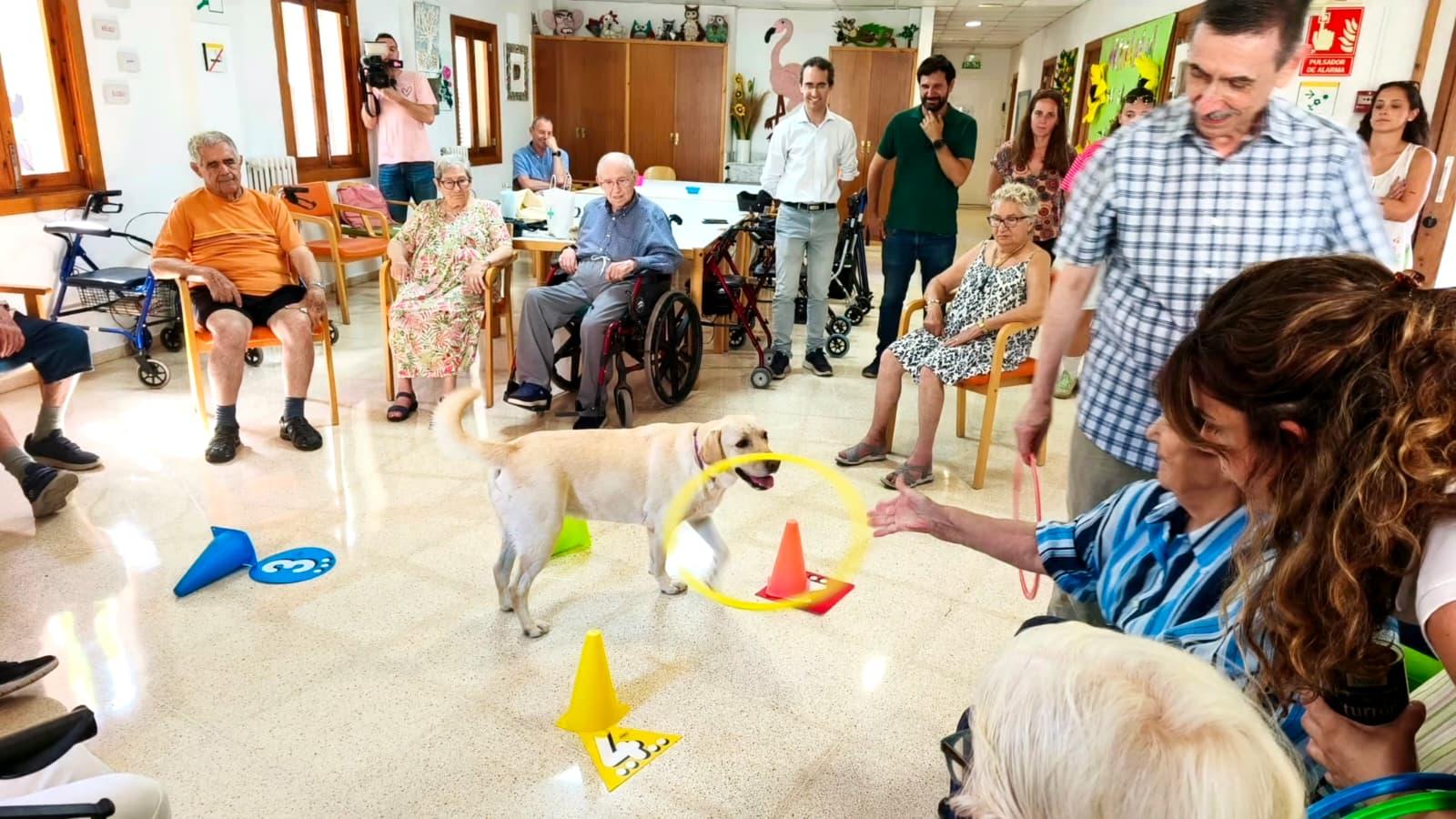 El Consell de Mallorca impulsa el bienestar emocional de las personas mayores en las residencias del IMAS con terapias asistidas con perros